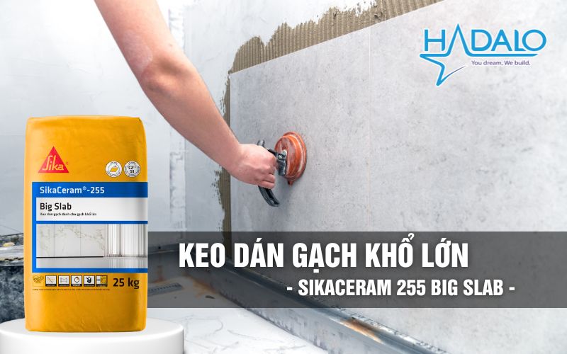 Keo dán gạch SikaCeram 255 Big Slab